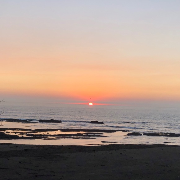 Meet your Posher, Emily - Picture 1 of 1